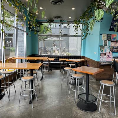 Interior, seating area with a mix of seating options and  hanging plants.