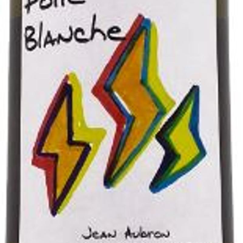 Aubron, Folle Blanche, Loire Valley, France, 2022 photo