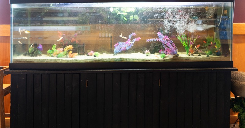 Aquarium, decorated details