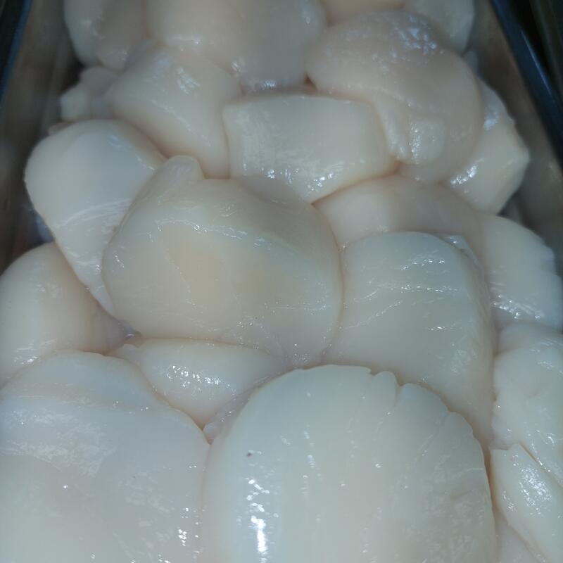 Dry Sea Scallops photo