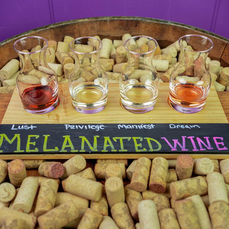 Standard Wine Tasting Experience photo