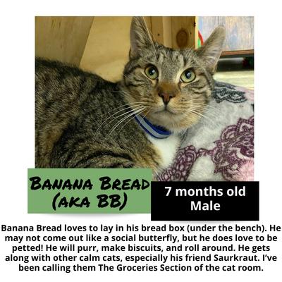 gallery photo number 12