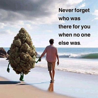 gallery photo number 29