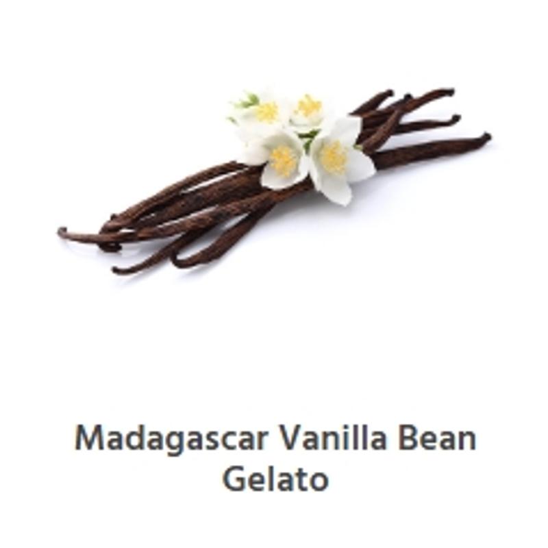 Madagascar Vanilla Bean Gelato photo