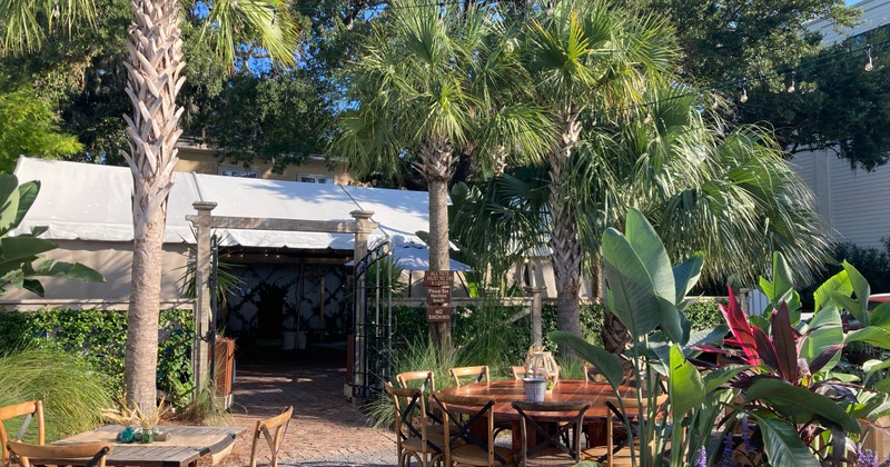 Patio, seating area with palm trees and vegetation