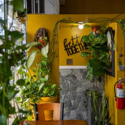 Indoor corner with plants against a yellow wall.