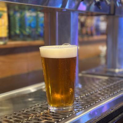 Pint of beer with a frothy head.