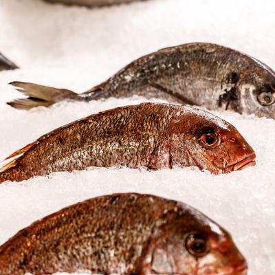 Fresh fish lie on a bed of crushed ice.