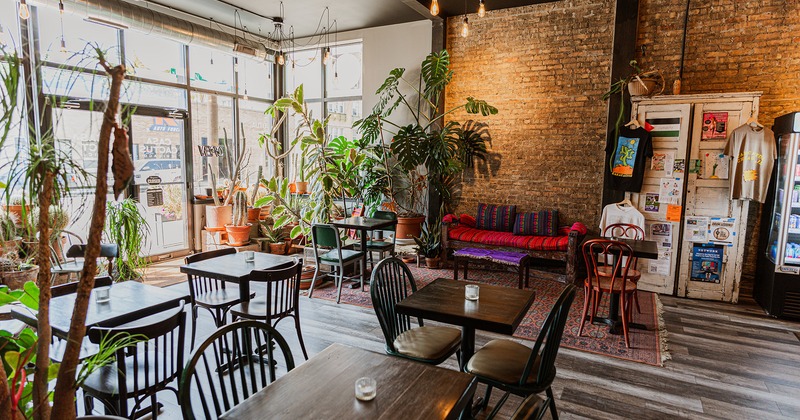 Interior, cozy seating area decorated with a lot of plants