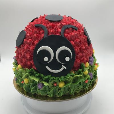 gallery photo number 15