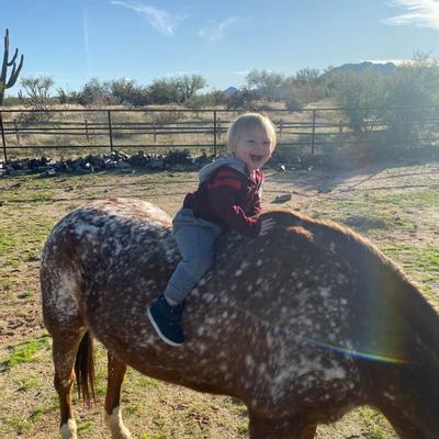 gallery photo number 3