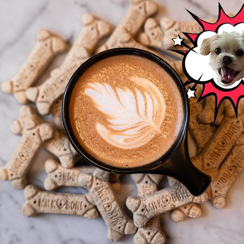 Gator's Ginger Mocha photo