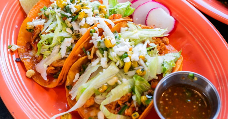 Citrus Jalapeno Margarita cocktail, top view