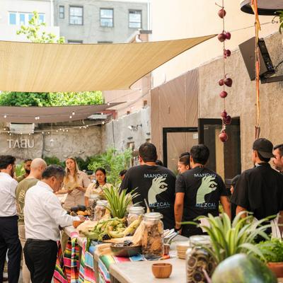 gallery photo number 5