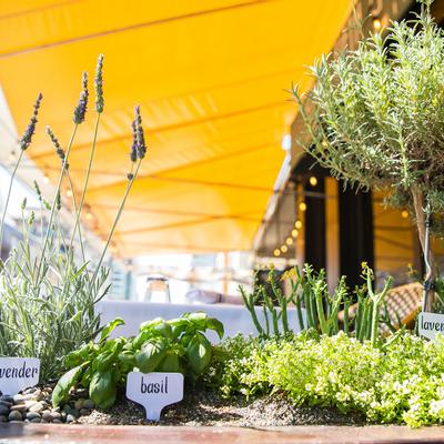 gallery photo number 170