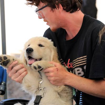 A guest with a puppy.