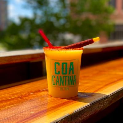 gallery photo number 59