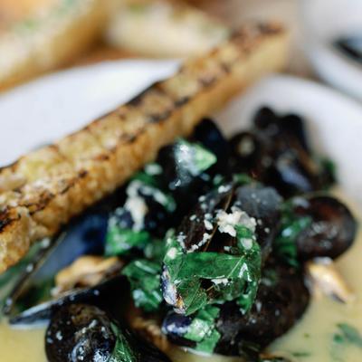 Mussels in a white wine sauce and grilled crostini