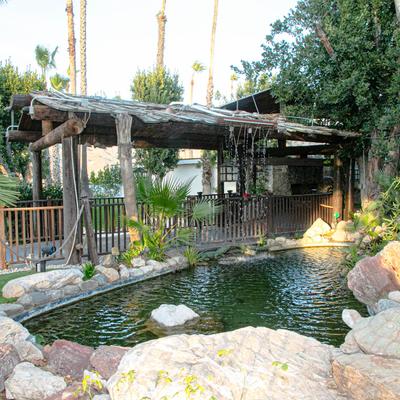 Restaurant garden pond.