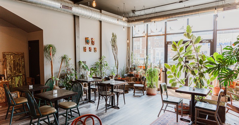 Interior space, cozy seating area decorated with a lot of plants