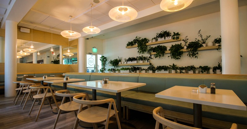 Booths, tables, chairs, and walls decorated with plants