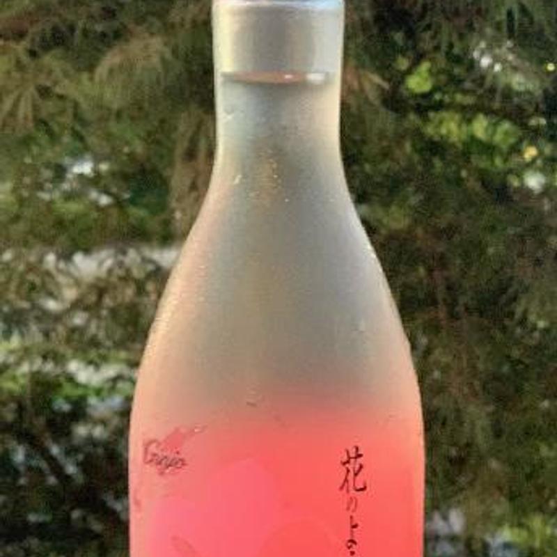 Sho Chiku Bai Ginjo, Filtered photo