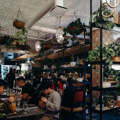 A vibrant interior filled with plants and ambient lighting.