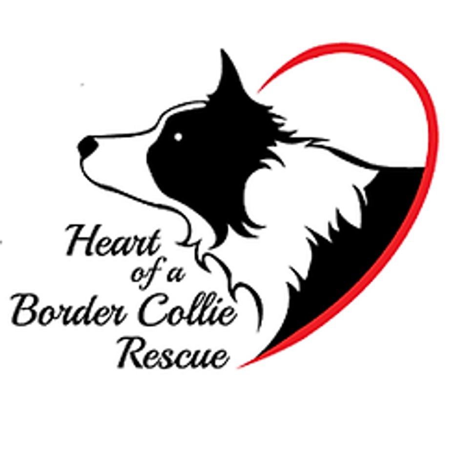Drink for Dogs - Heart of a Border Collie event photo