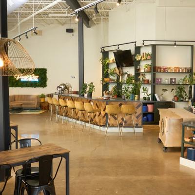 gallery photo number 15