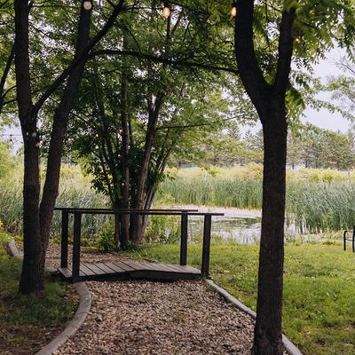 A wooden bridge over a pebbled path, surrounded by lush green trees and reeds by a pond.