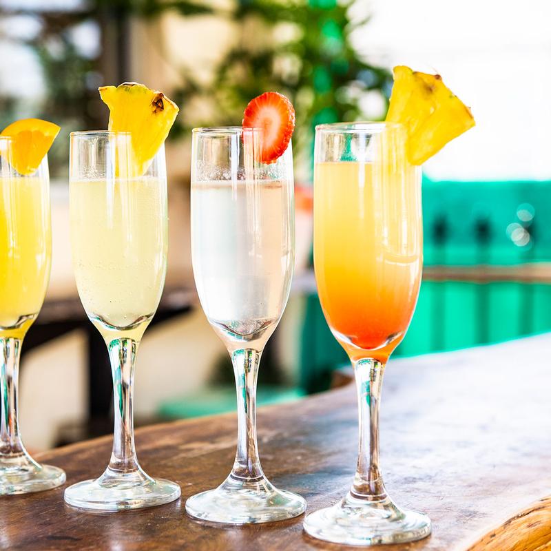 Mimosa Flights photo