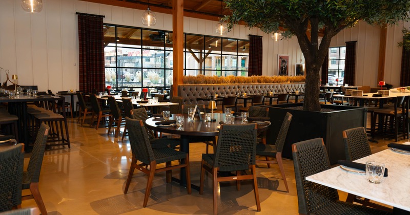 Modern restaurant interior with tables, chairs, and a large potted tree