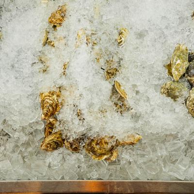 gallery photo number 13