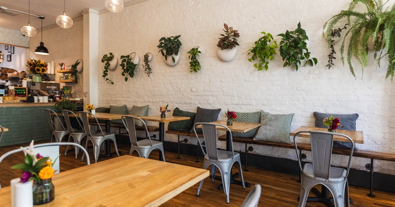 Interior, seating area, plant decoration on the wall