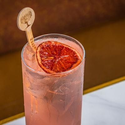 Paloma cocktail garnished with dried grapefriut wheel.