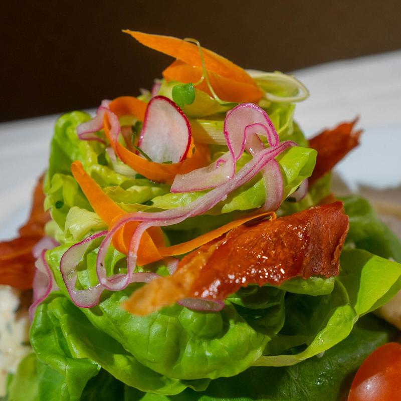 Boston Butter Lettuce photo