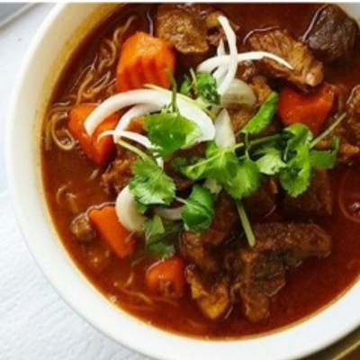 Vietnamese Beef Stew photo