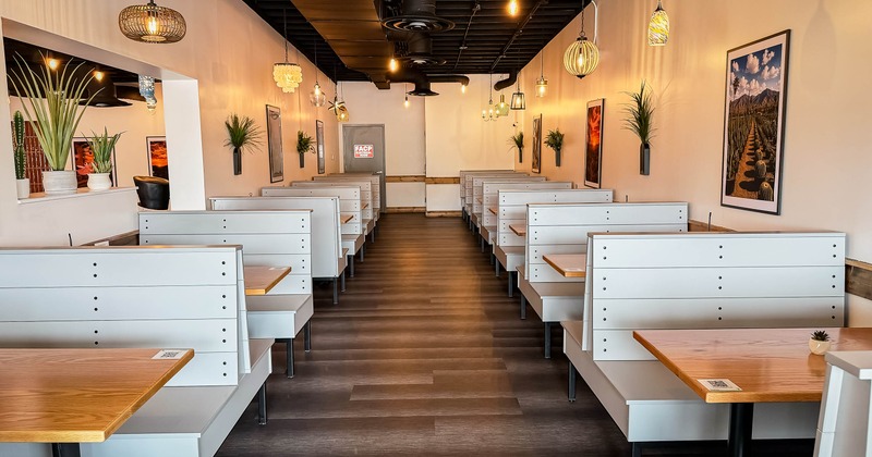 Interior, dining area, white wooden booths with tables, plants and pictures as a wall decor