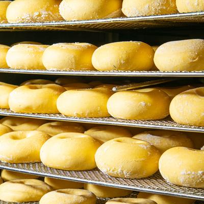 Multiple trays of unbaked doughnut dough.