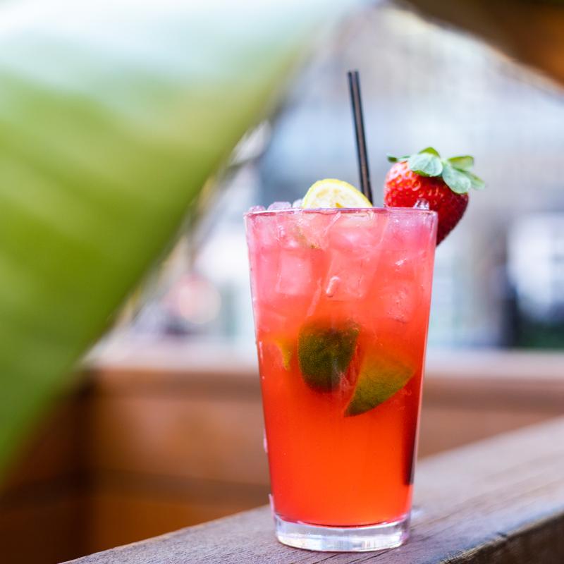 Strawberry field photo