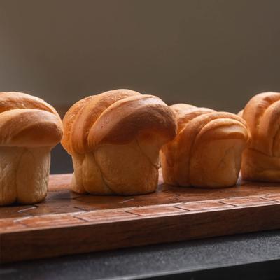 gallery photo number 17