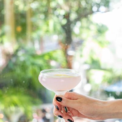 gallery photo number 70