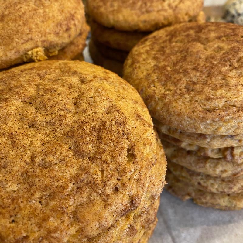 Pumpkindoodle (NF, SF) photo