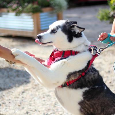 gallery photo number 19