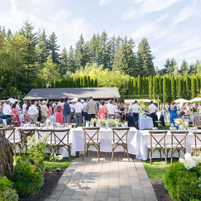 gallery photo number 233