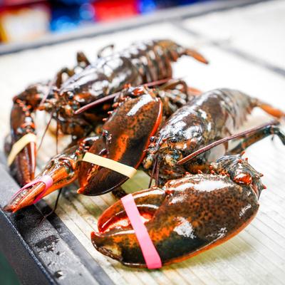 Fresh lobsters.