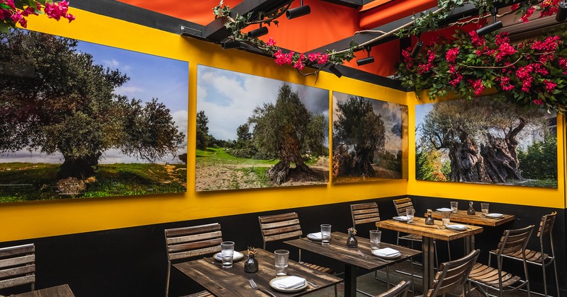 Patio dining area with set tables