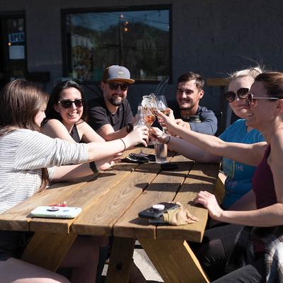 Friends toasting drinks at a sunlit picnic table outdoors.