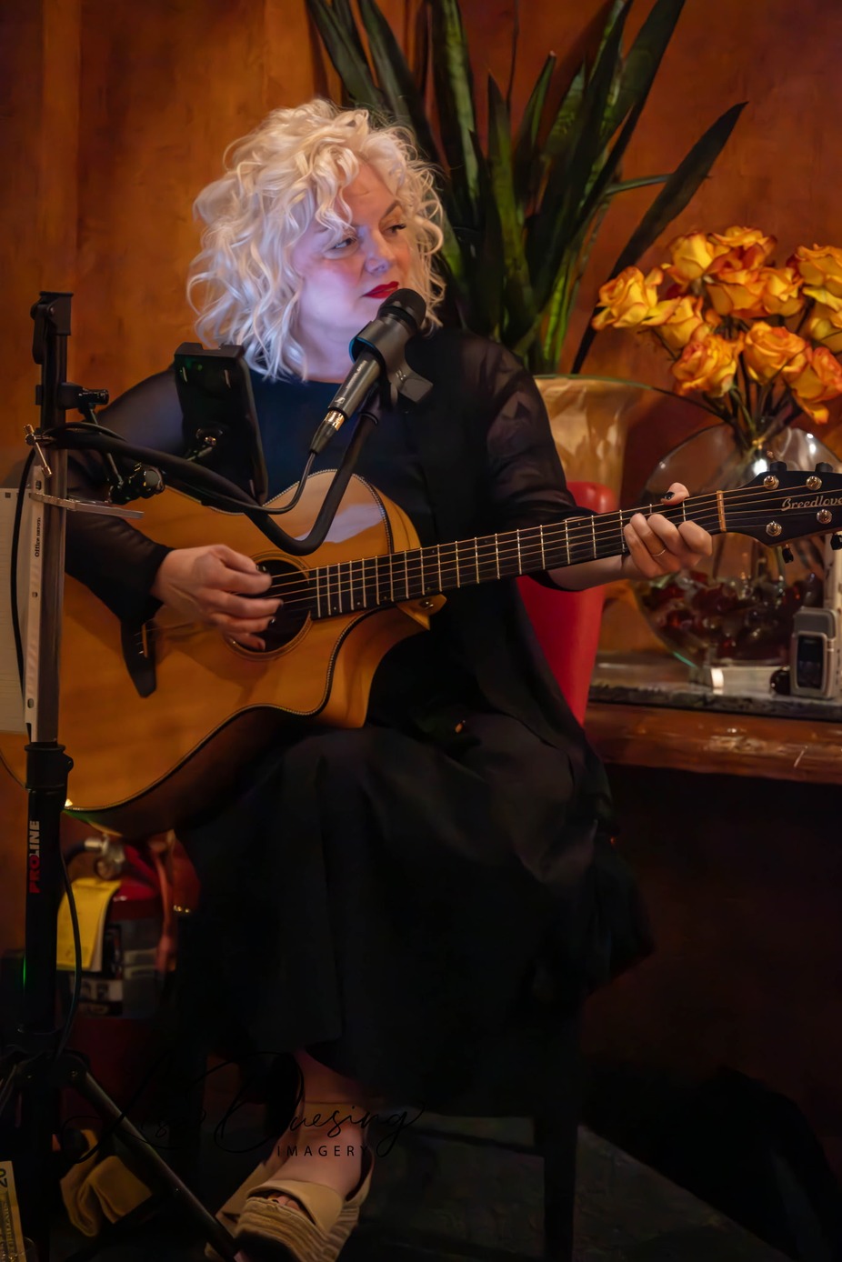 Live Music event photo