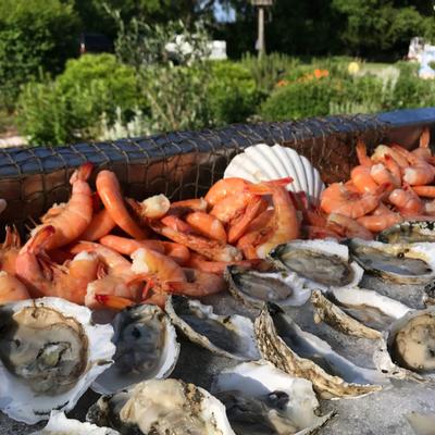 gallery photo number 2